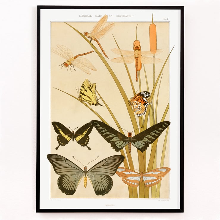 Butterflies and Reeds Butterflies and Reeds