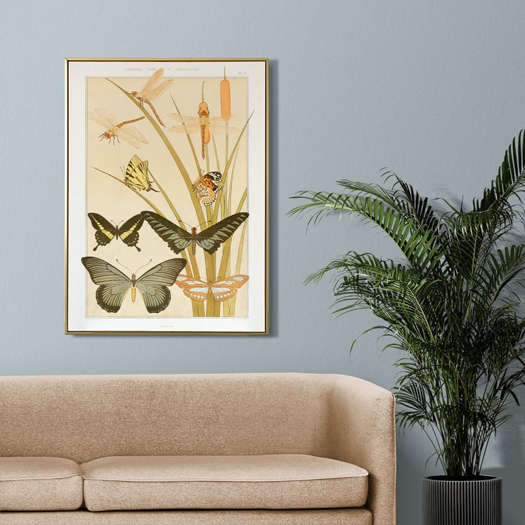 Butterflies and Reeds Butterflies and Reeds
