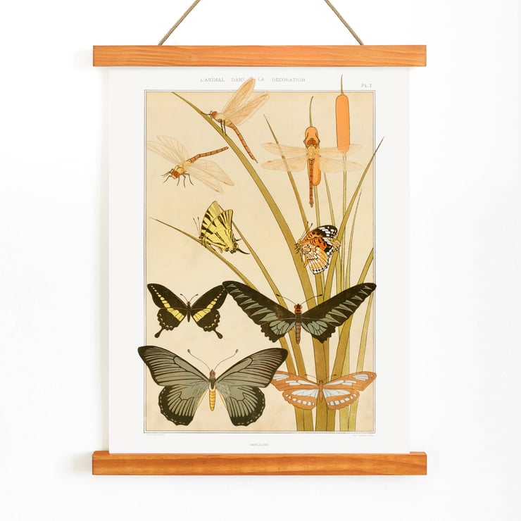 Butterflies and Reeds Butterflies and Reeds