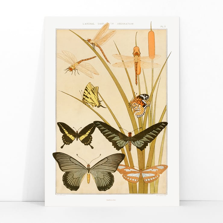 Butterflies and Reeds Butterflies and Reeds