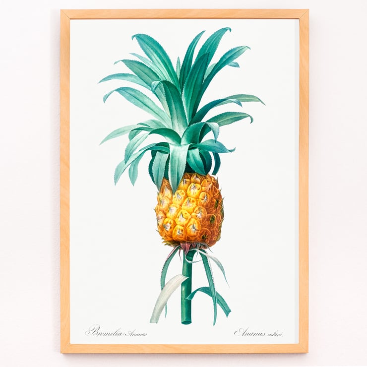 Pineapple Pineapple