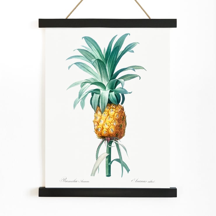Pineapple Pineapple
