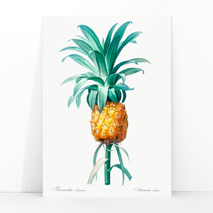 Pineapple Pineapple