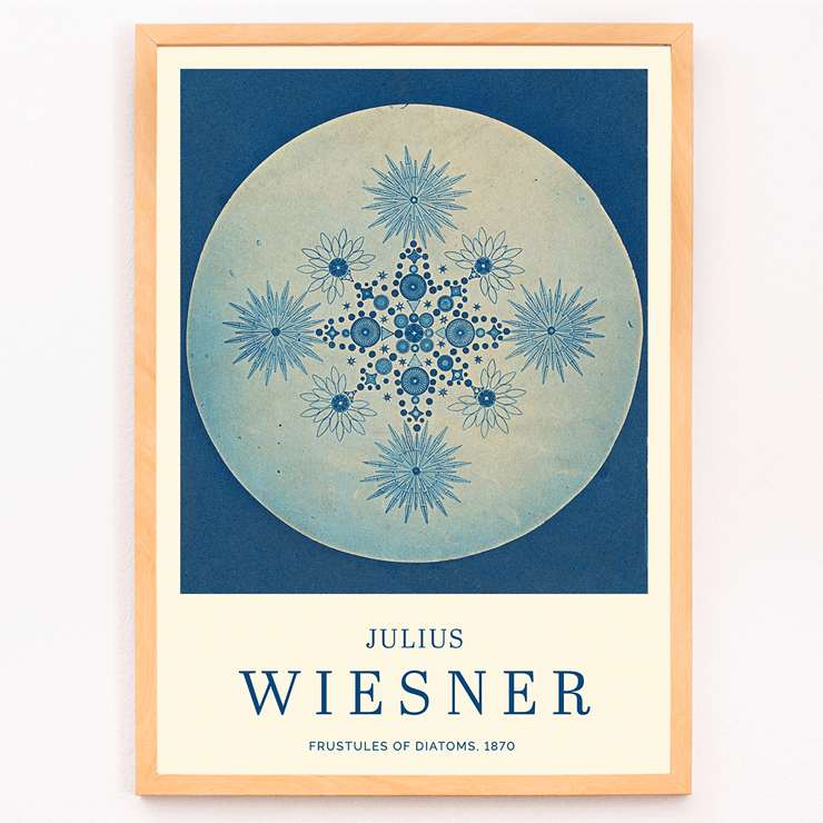 Poster di Frustules of Diatoms di Julius Wiesner con intricati disegni di diatomee blu su uno sfondo circolare