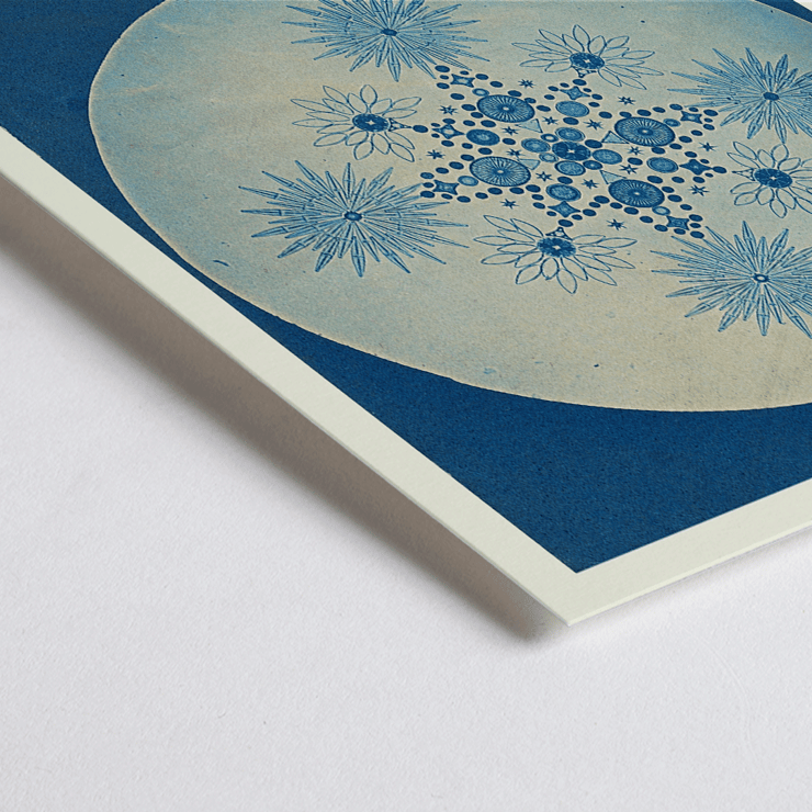 Poster di Frustules of Diatoms di Julius Wiesner con intricati disegni di diatomee blu su uno sfondo circolare