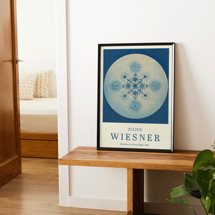 Poster di Frustules of Diatoms di Julius Wiesner con intricati disegni di diatomee blu su uno sfondo circolare