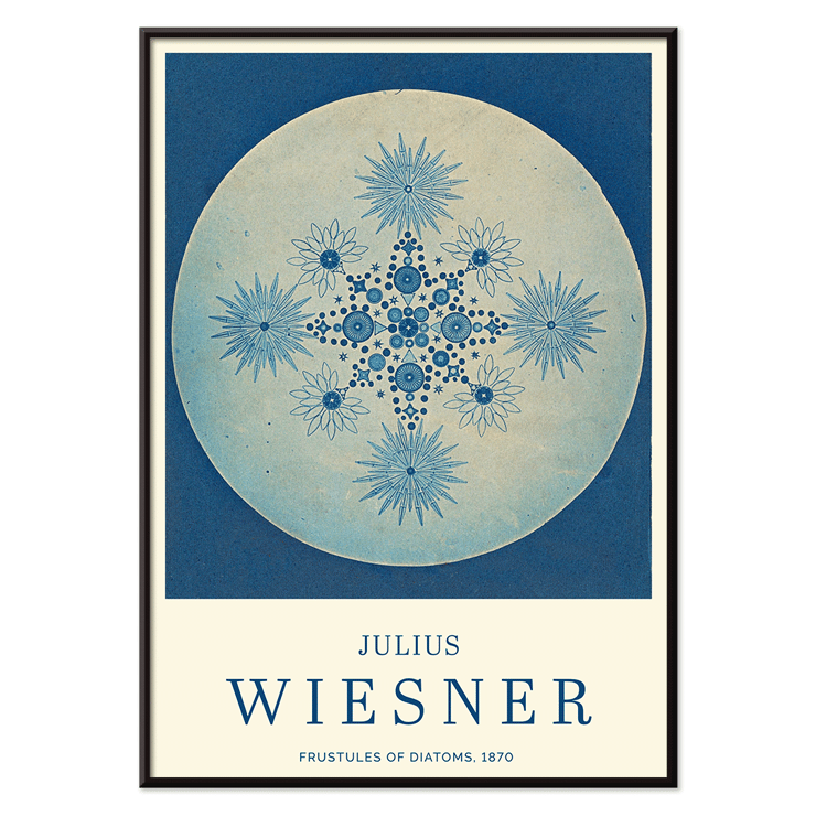 Poster di Frustules of Diatoms di Julius Wiesner con intricati disegni di diatomee blu su uno sfondo circolare