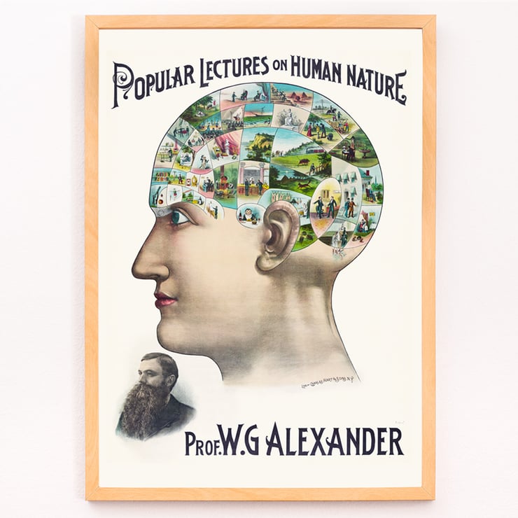 Popular Lectures on Human Nature book cover illustration of a phrenology diagram by an unidentified artist Poster of a phrenology-inspired illustration showcasing scenes of human activities inside a profile head Popular Lectures on Human Nature