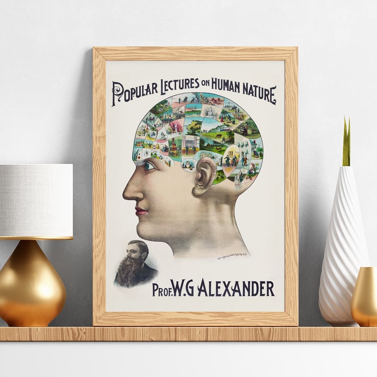 Popular Lectures on Human Nature book cover illustration of a phrenology diagram by an unidentified artist Poster of a phrenology-inspired illustration showcasing scenes of human activities inside a profile head Popular Lectures on Human Nature