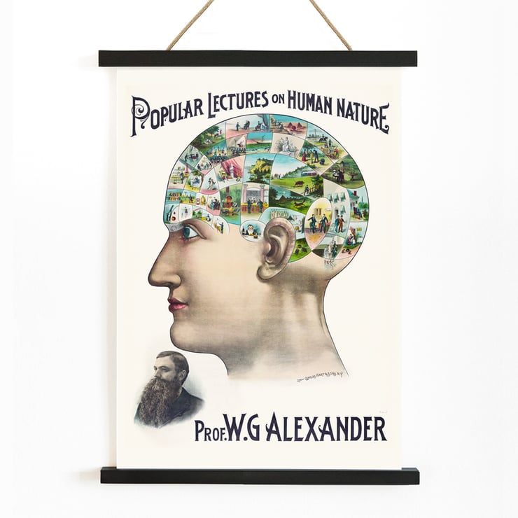Popular Lectures on Human Nature book cover illustration of a phrenology diagram by an unidentified artist Poster of a phrenology-inspired illustration showcasing scenes of human activities inside a profile head Popular Lectures on Human Nature
