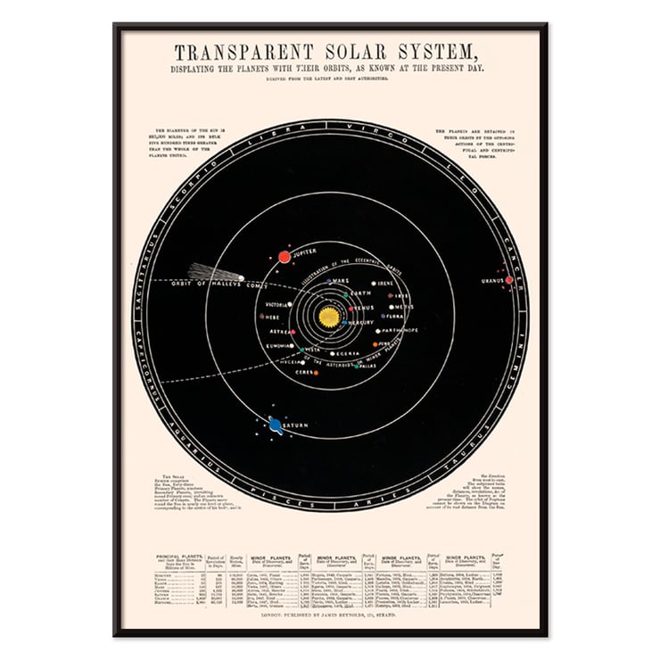 Transparent Solar System by James Reynolds vintage astronomical diagram featuring planetary orbits and celestial bodies Poster titled Transparent Solar System by James Reynolds depicting planetary orbits and comet paths in vintage style.