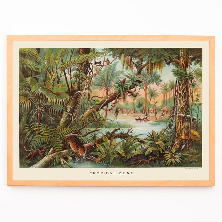 Tropical Zone by Levi Walter Yaggy depicting vibrant jungle scene with wildlife and people near a river. Poster of a vibrant jungle scene with wildlife and people by Levi Walter Yaggy titled Tropical Zone.