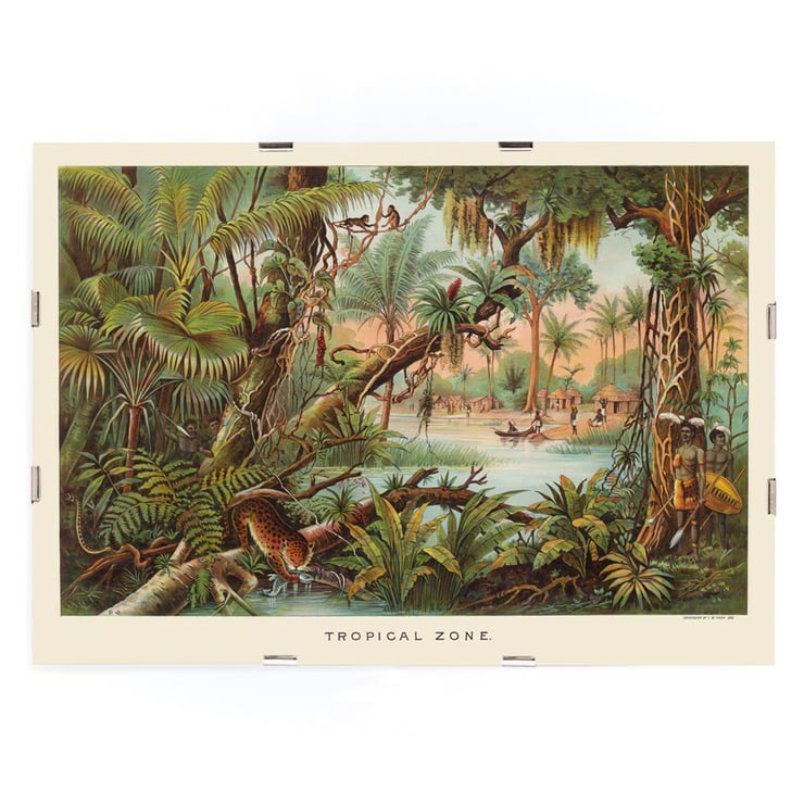 Tropical Zone by Levi Walter Yaggy depicting vibrant jungle scene with wildlife and people near a river. Poster of a vibrant jungle scene with wildlife and people by Levi Walter Yaggy titled Tropical Zone.