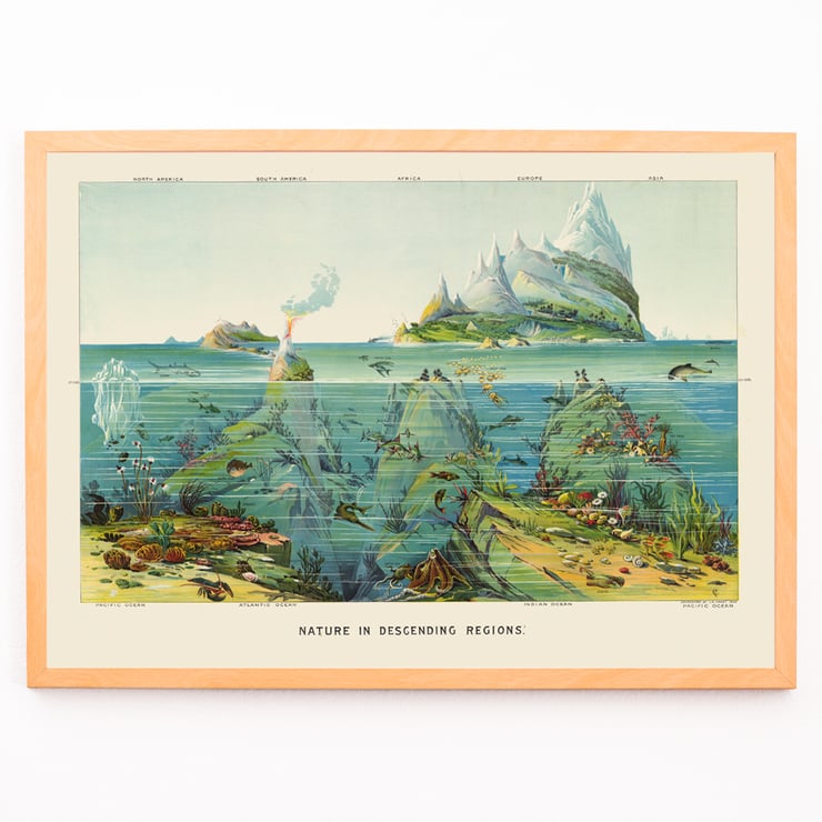Vibrant undersea landscape with islands and aquatic life by Levi Walter Yaggy Nature in Descending Regions Poster titled Nature in Descending Regions by Levi Walter Yaggy depicting diverse marine life and landscapes in vibrant colors