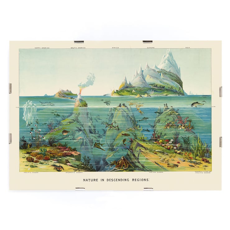 Vibrant undersea landscape with islands and aquatic life by Levi Walter Yaggy Nature in Descending Regions Poster titled Nature in Descending Regions by Levi Walter Yaggy depicting diverse marine life and landscapes in vibrant colors