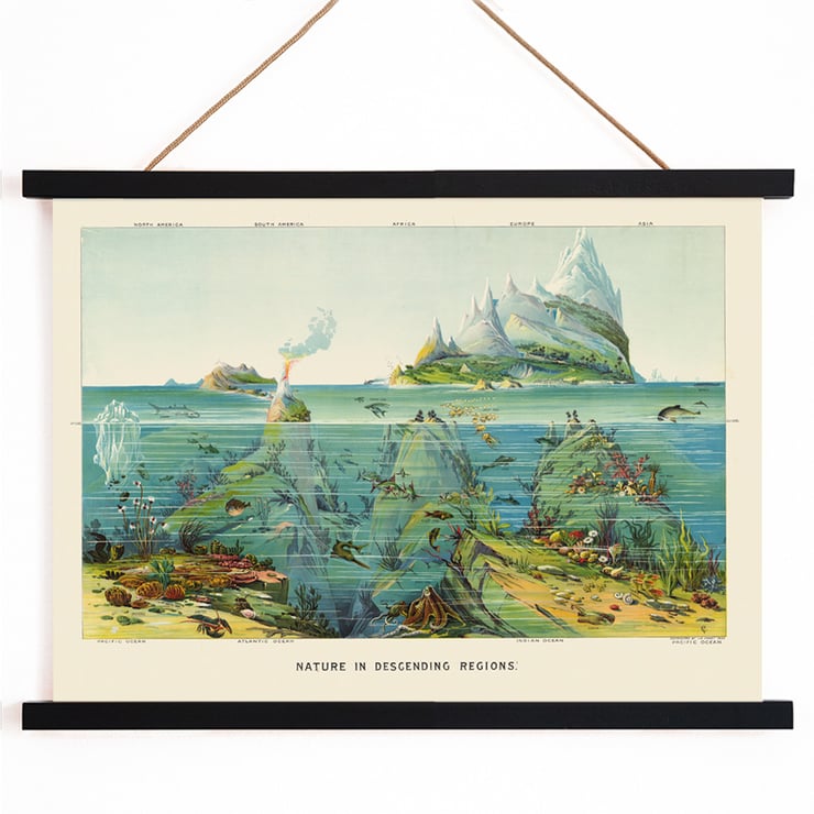 Vibrant undersea landscape with islands and aquatic life by Levi Walter Yaggy Nature in Descending Regions Poster titled Nature in Descending Regions by Levi Walter Yaggy depicting diverse marine life and landscapes in vibrant colors