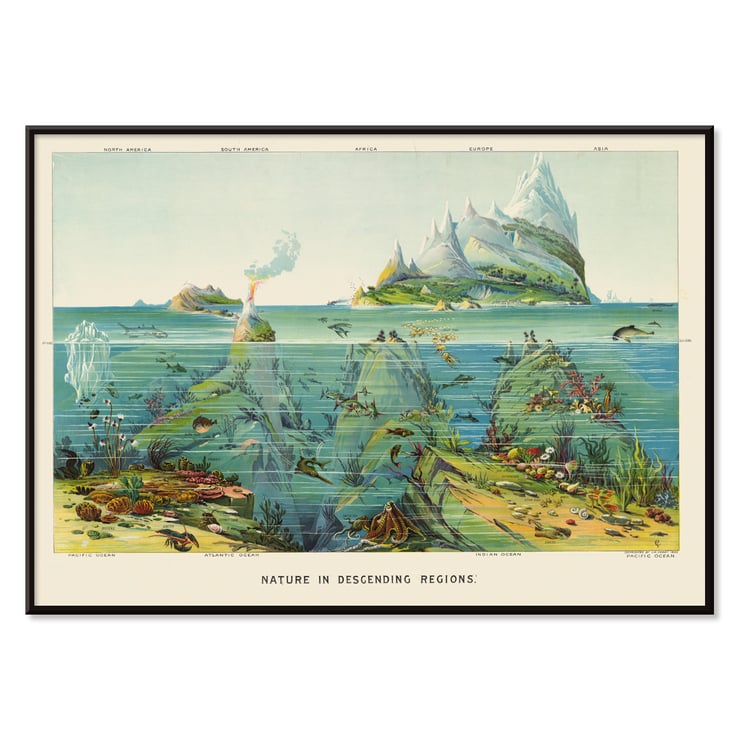 Vibrant undersea landscape with islands and aquatic life by Levi Walter Yaggy Nature in Descending Regions Poster titled Nature in Descending Regions by Levi Walter Yaggy depicting diverse marine life and landscapes in vibrant colors