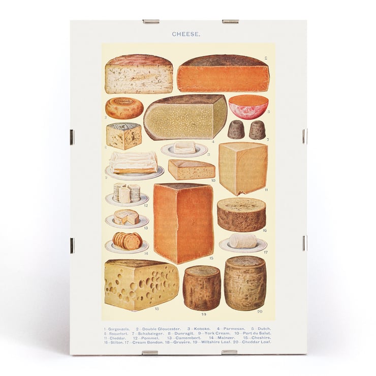Illustrated cheese varieties by Beeton in Cheeses from Beetons Book of Household Management Cheeses poster from Beeton's Book of Household Management featuring various cheese illustrations.