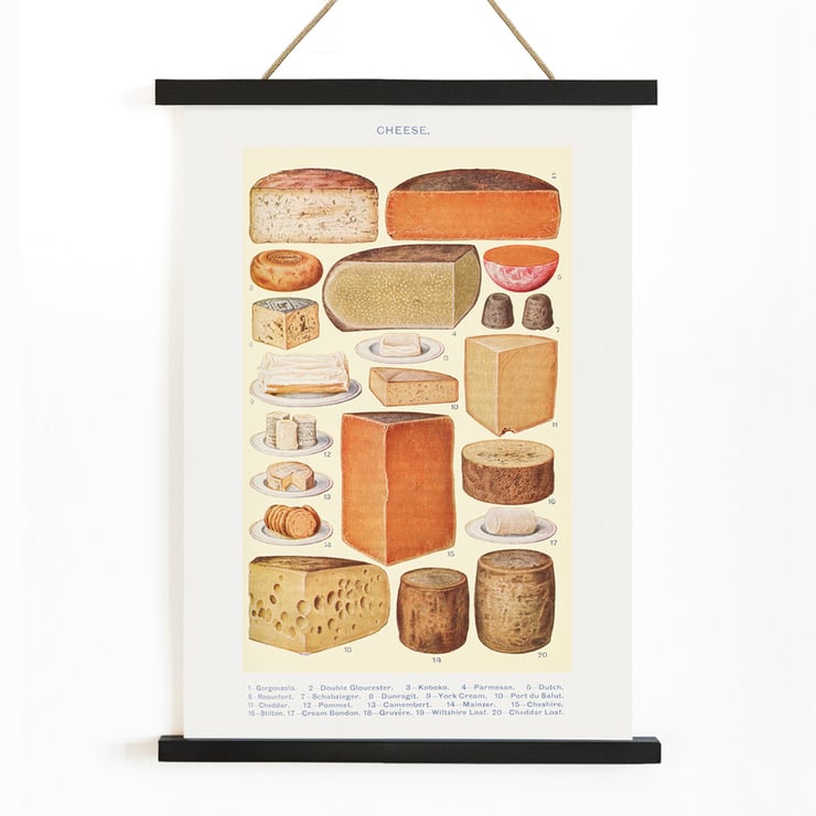 Illustrated cheese varieties by Beeton in Cheeses from Beetons Book of Household Management Cheeses poster from Beeton's Book of Household Management featuring various cheese illustrations.