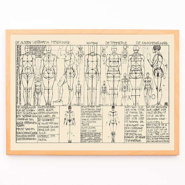 Analysis of human body proportions with diagrams by Alexander Rothaug Static and dynamic of the human body Pl.05 Poster of anatomical sketches depicting human body proportions titled Static and dynamic of the human body by Alexander Rothaug