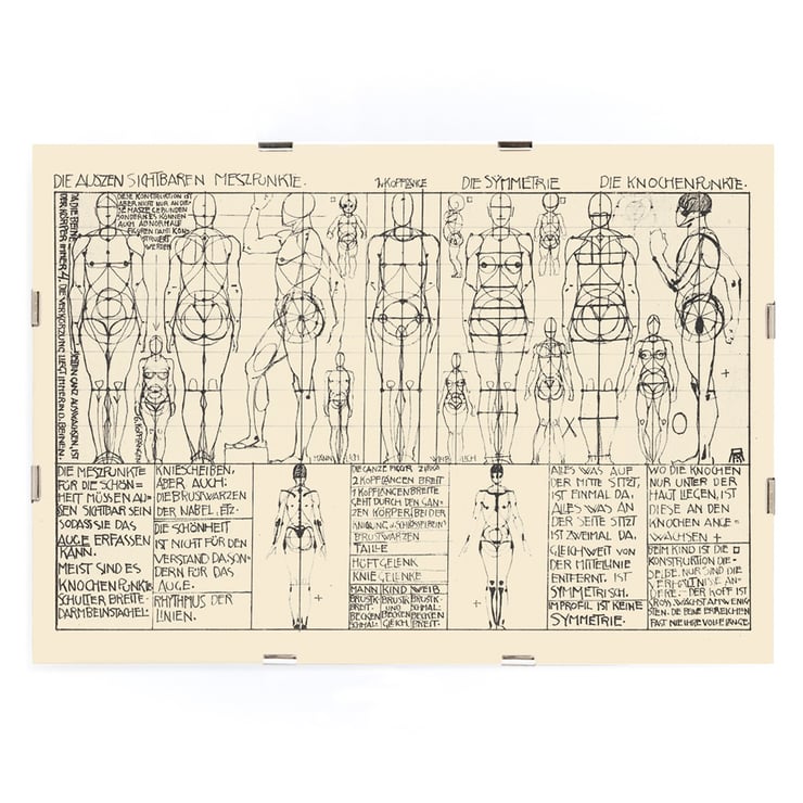Analysis of human body proportions with diagrams by Alexander Rothaug Static and dynamic of the human body Pl.05 Poster of anatomical sketches depicting human body proportions titled Static and dynamic of the human body by Alexander Rothaug