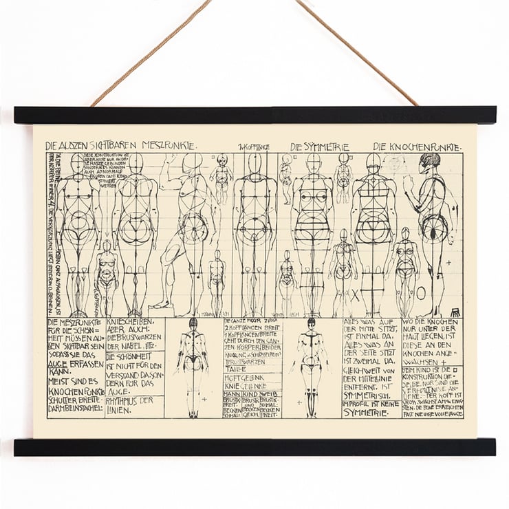 Analysis of human body proportions with diagrams by Alexander Rothaug Static and dynamic of the human body Pl.05 Poster of anatomical sketches depicting human body proportions titled Static and dynamic of the human body by Alexander Rothaug