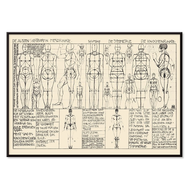 Analysis of human body proportions with diagrams by Alexander Rothaug Static and dynamic of the human body Pl.05 Poster of anatomical sketches depicting human body proportions titled Static and dynamic of the human body by Alexander Rothaug
