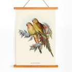 Poster de La Perruche de la Princesse de Galles par Polytelis Alexandrae représentant des oiseaux colorés sur des branches avec des feuilles