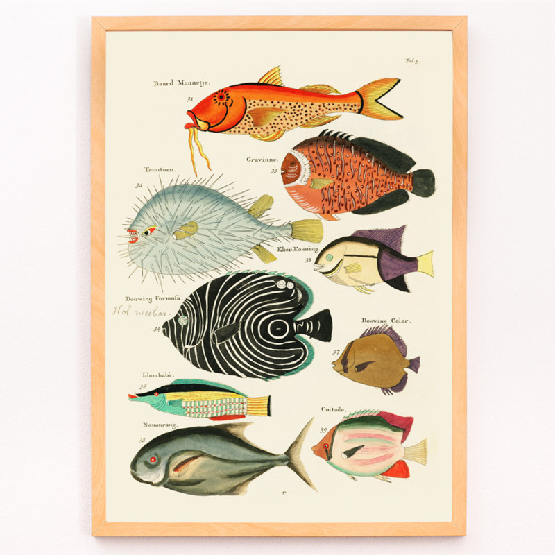 Illustrazioni surreali di pesci