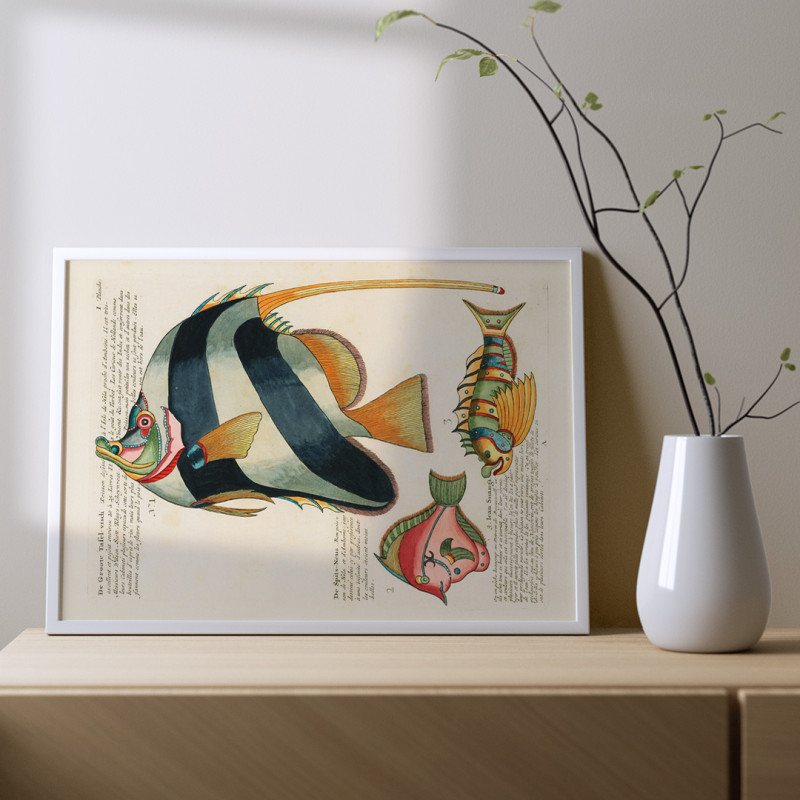Ilustrações coloridas e surreais de peixes 2
