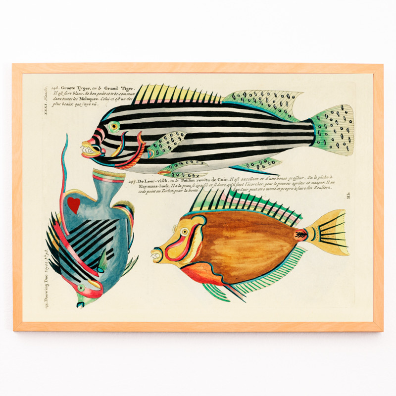 Ilustrações coloridas e surreais de peixes 7