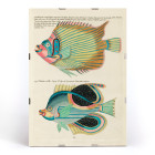 Colourful and surreal illustrations of fishes 8