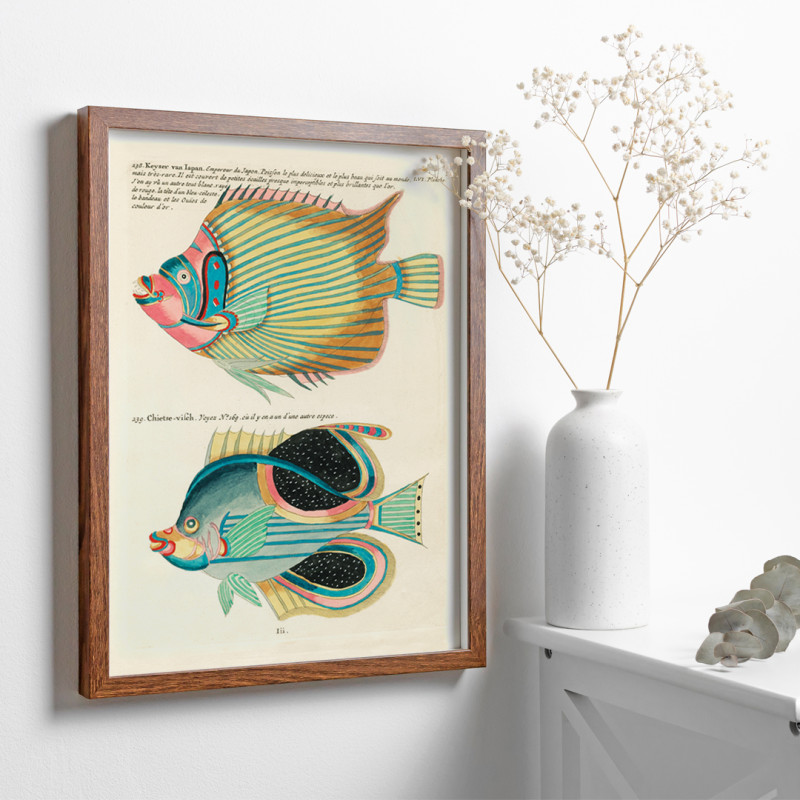 Ilustrações coloridas e surreais de peixes 8