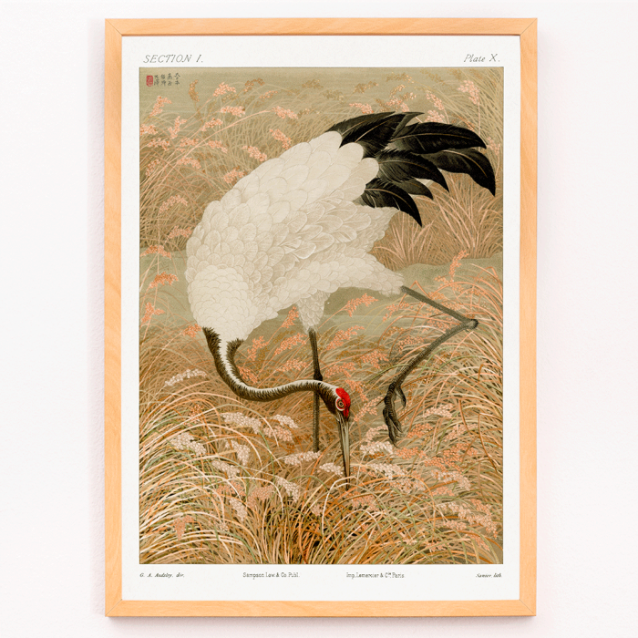 Poster of a Sarus crane standing in a rice field from the artwork titled Sarus crane in rice field by The Ornamental Arts Of Japan