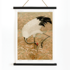 Sarus crane in rice field