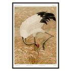 Poster of a Sarus crane standing in a rice field from the artwork titled Sarus crane in rice field by The Ornamental Arts Of Japan