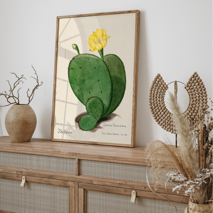 Indischer Feigen-Opuntia-Kaktus