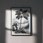 Póster de una palmera junto al mar de Les Palmiers Histoire Iconographique de Oswald de Kerchove de Denterghem.