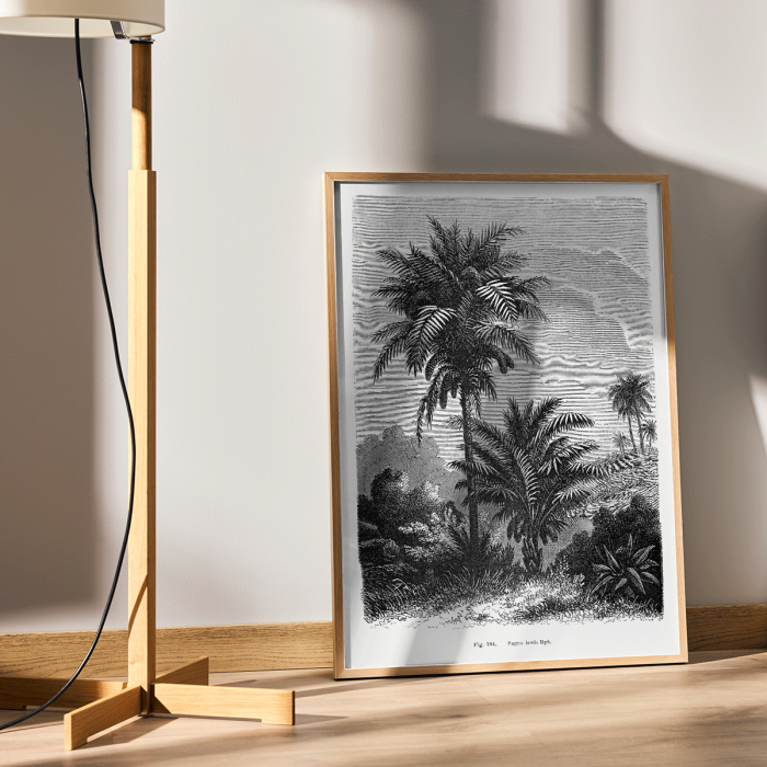 Poster featuring a detailed black and white illustration of palm trees by Oswald de Kerchove de Denterghem Les Palmiers Histoire Iconographique