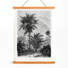 Poster featuring a detailed black and white illustration of palm trees by Oswald de Kerchove de Denterghem Les Palmiers Histoire Iconographique