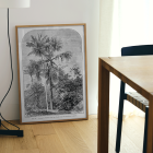 Poster titled Les Palmiers Histoire Iconographique by Oswald de Kerchove de Denterghem depicting palm trees in a tropical forest.