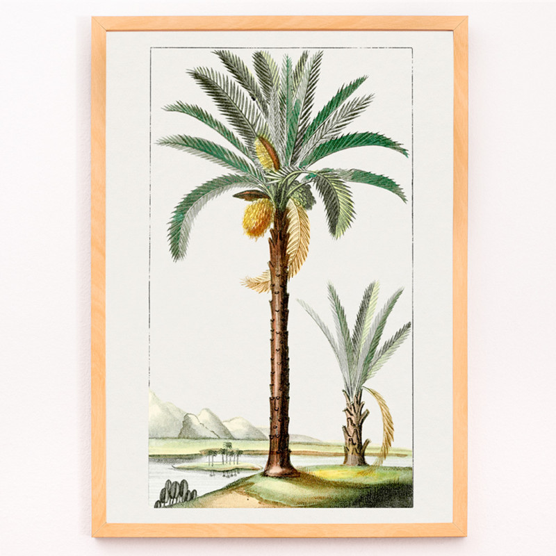 Palmeira desenhada a mão