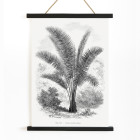 Vintage palm tree