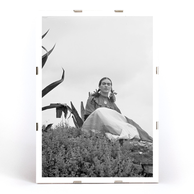 Frida Kahlo sentada ao lado de uma planta de agave