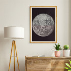 Photograph of the moon
