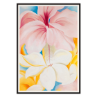 Poster of Hibiscus with Plumeria by Georgia O’Keeffe featuring vibrant pink and white flowers with a colorful background