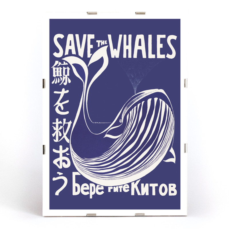 Salva le balene