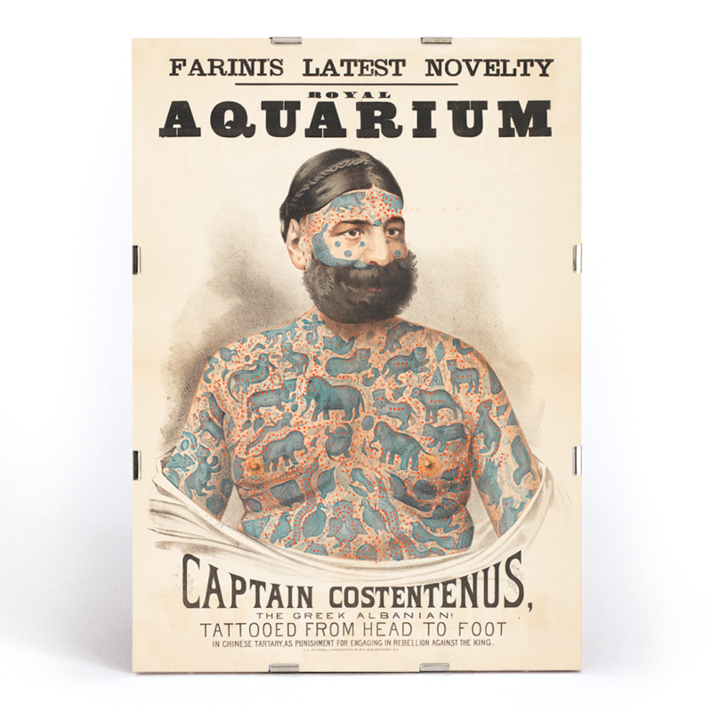 Captain Costentenus