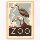 Visite o zoológico 2