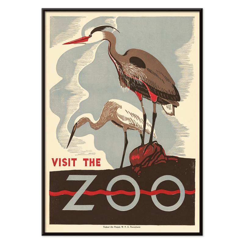 Visita allo zoo 2
